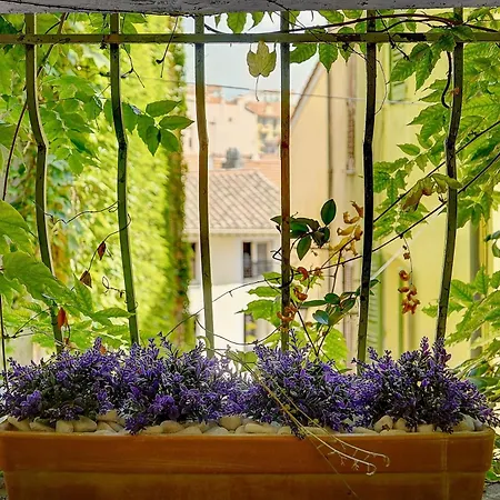 Sandra - Atypical And Charming - Suquet - Vca *