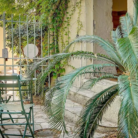 Sandra - Atypical And Charming - Suquet - Vca * Cannes